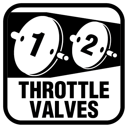 Dual throttle valves