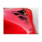 PUIG FZR1000 PROTEC�AO DEPOSITO SPIRIT PRT