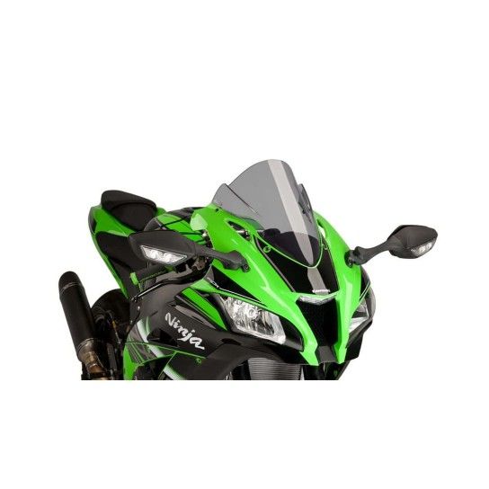 PUIG ZX-10R 2016 VISEIRA RACING FUMADO