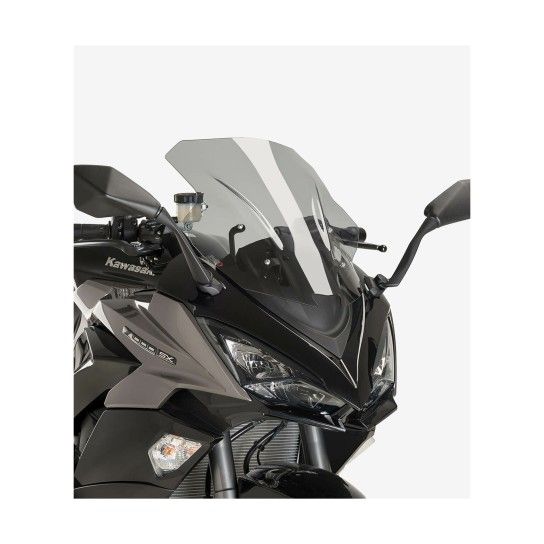 PUIG Z1000SX 2017 VISEIRA RACING FUMADA PUIG Z1000SX 2017 VISEIRA RACING FUMADA