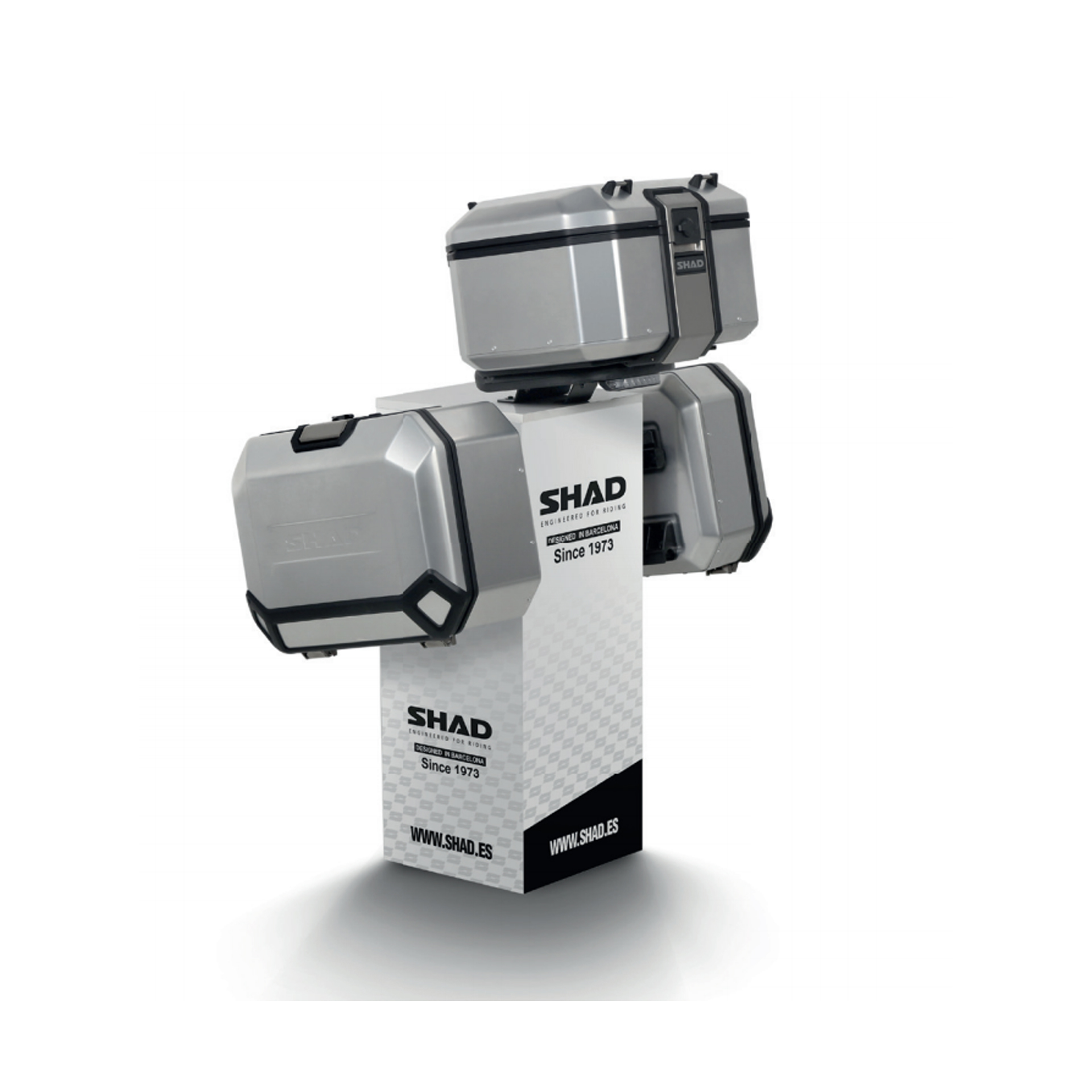 SHAD EXPOSITOR TERRA SHAD EXPOSITOR TERRA