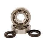 HOT RODS KX250 2002-07 ROLAMENTOS CAMBOTA HOT RODS KX250 2002-07 ROLAMENTOS CAMBOTA