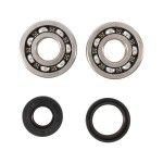 HOT RODS KX125 1988-05 JOGO ROLAMENTOS E VEDANTES CAMBOTA HOT RODS KX125 1988-05 JOGO ROLAMENTOS E VEDANTES CAMBOTA