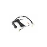 OXFORD INTERRUPTOR COM CABLAGEM PUNHO 698 OXFORD INTERRUPTOR COM CABLAGEM PUNHO 698