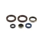 ATHENA KTM 125 JOGO VEDANTES COMPLETO