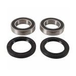 PIVOT WARRIOR RODA TRAS PIVOT WARRIOR RODA TRAS