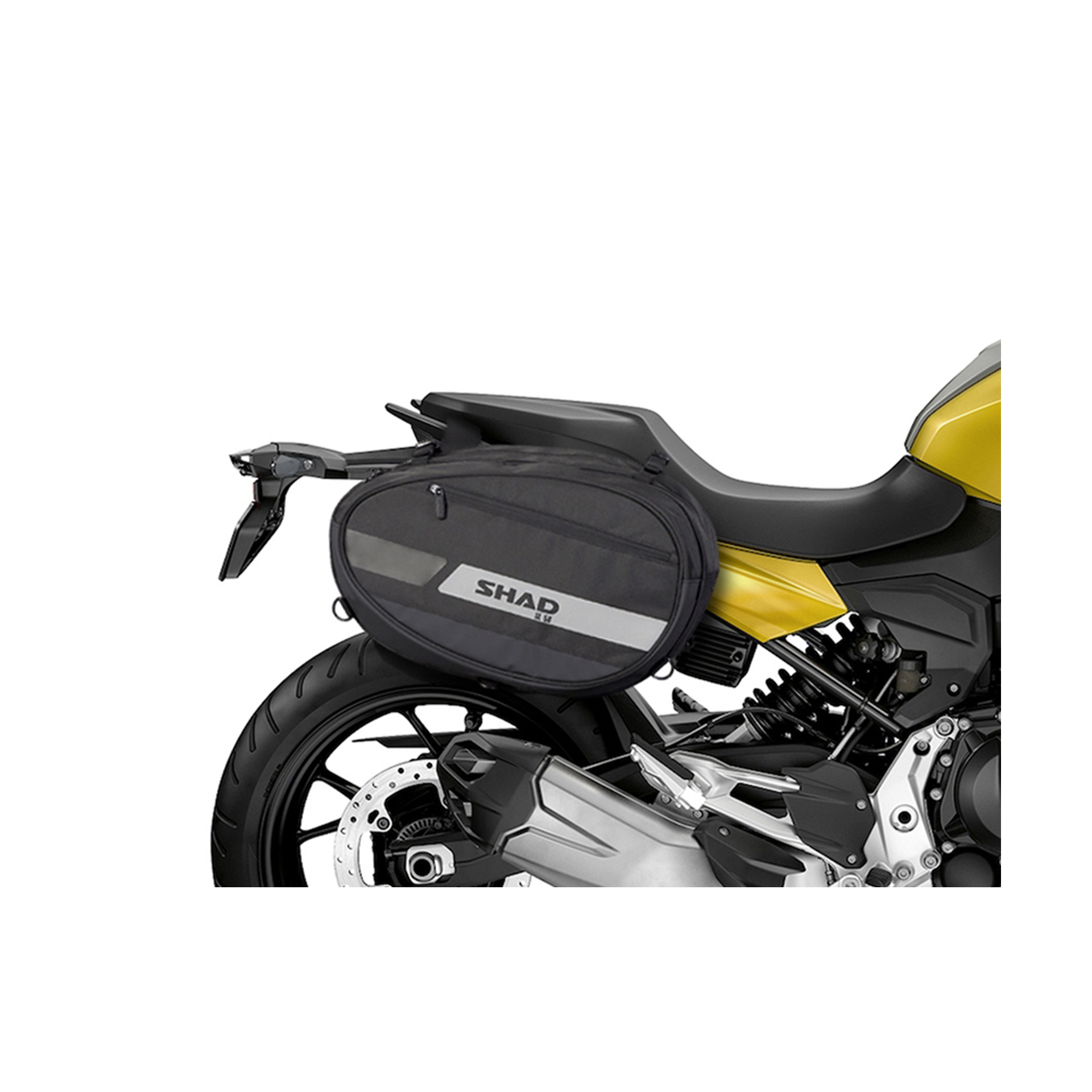 SHAD F900 XR 2020/21 LATERAL
