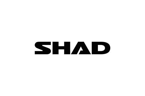 Shad
