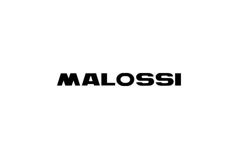 Malossi