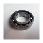 BEARING OPEN 6006-P63 30X55X13