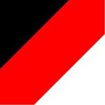 1321-BLK/RED FLUO/WH