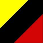 119-YEL MATT FLUO/BLK/RED