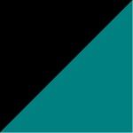 1170-BLK/TEAL