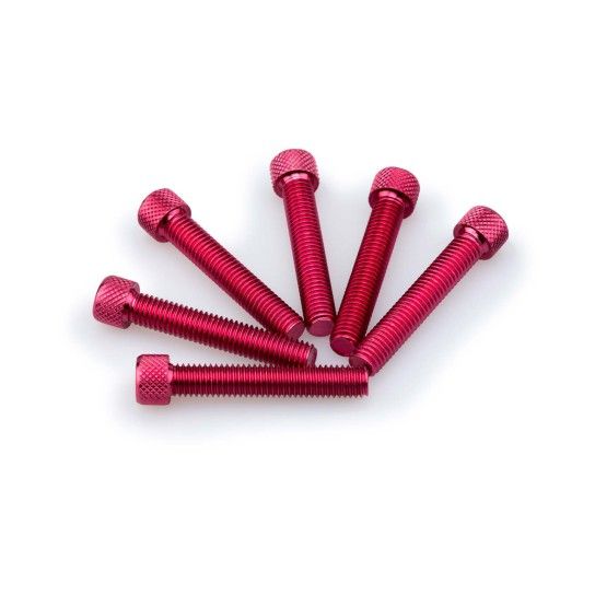 PUIG UNIVERSAL KIT PARAFUSOS ABOMBADOS VERMELHOS8X45 PUIG UNIVERSAL KIT PARAFUSOS ABOMBADOS VERMELHOS8X45