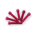 PUIG UNIVERSAL KIT PARAFUSOS ABOMBADOS VERMELHOS8X45 PUIG UNIVERSAL KIT PARAFUSOS ABOMBADOS VERMELHOS8X45