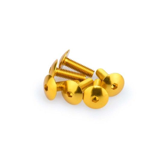 PUIG UNIVERSAL KIT PARAFUSOS ABOMBADOS OURO6X20 PUIG UNIVERSAL KIT PARAFUSOS ABOMBADOS OURO6X20