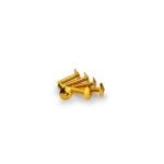 PUIG UNIVERSAL KIT PARAFUSOS ABOMBADOS OURO 6X25 PUIG UNIVERSAL KIT PARAFUSOS ABOMBADOS OURO 6X25