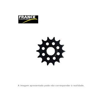 FE PIÑON 1394-15D DS450 FE PIÑON 1394-15D DS450