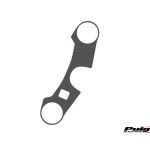 PUIG GSX-R1000 2005-06 PROTECTOR PLATINA XTREME CARBONO PUIG GSX-R1000 2005-06 PROTECTOR PLATINA XTREME CARBONO