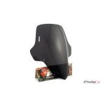PUIG FZ1 FAZER 2006-15 VISEIRA TOURING FUMADO PUIG FZ1 FAZER 2006-15 VISEIRA TOURING FUMADO