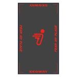 SEGWAY SSV CARPET SEGWAY SSV CARPET