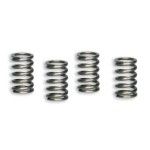 MALOSSI KIT MOLAS EMBRAIAGEM PIT BIKE - MINI GP MALOSSI KIT MOLAS EMBRAIAGEM PIT BIKE - MINI GP