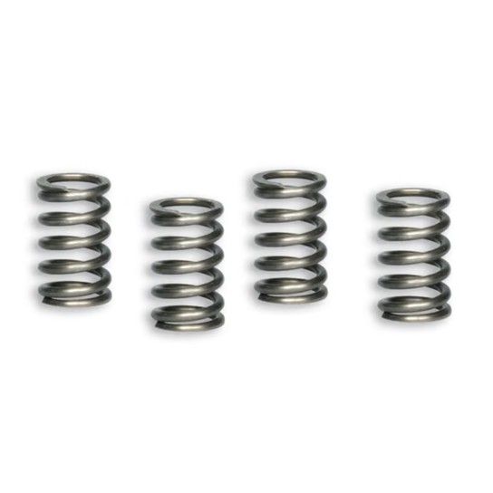 MALOSSI KIT MOLAS EMBRAIAGEM PIT BIKE - MINI GP MALOSSI KIT MOLAS EMBRAIAGEM PIT BIKE - MINI GP