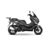SHAD MORBIDELLI SC125 24