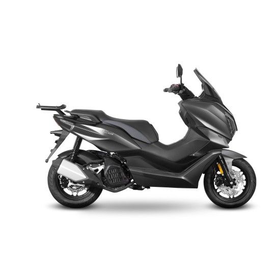 SHAD MORBIDELLI SC125 24