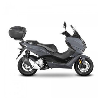 SHAD MORBIDELLI SC 300 24