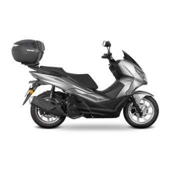 SHAD VIESTE LX 2024-25 TM