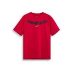 ALPINESTARS T-SHIRT ELLIPTIC CSF