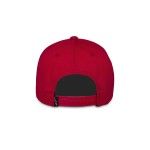 ALPINESTARS BONE AGELESS SNAPBACK